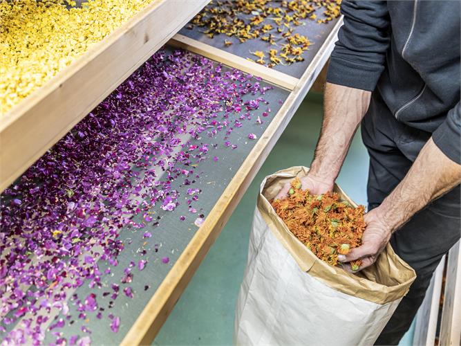 Visit to the farm shop of the Wipptal herb garden (Pflerschtal)