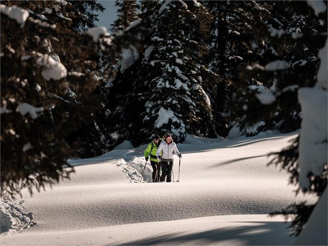 Schneeschuhwanderung durch die Winterwunderwelt in Pfitsch