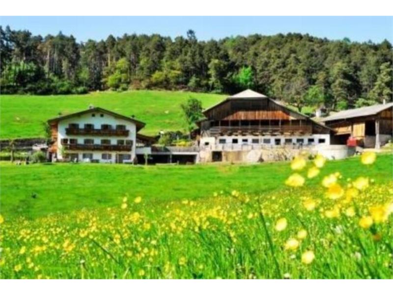 All accommodations in the holiday region Seiser Alm - Fegerhof