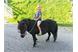 Divertimento a cavallo con il pony al Kuenhof a Verano