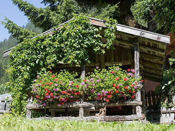 Hotel Bergblick