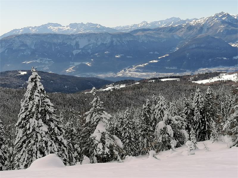 Winter in Vöran in South Tyrol, Ferienwohnung Alber Edith