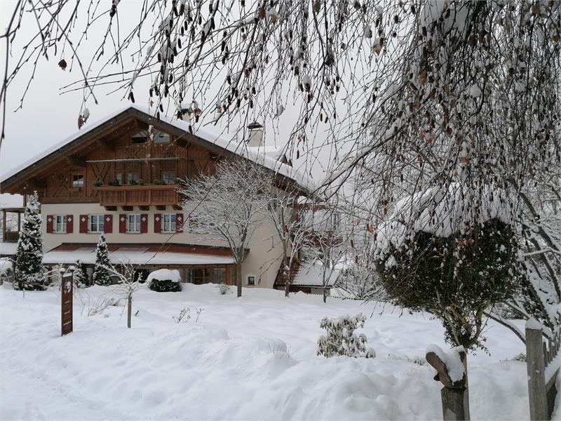 Inverno in Alto Adige a Verano, Ferienwohnung Alber Edith