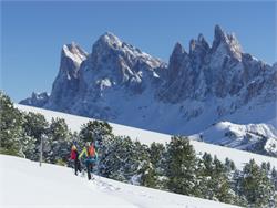 Guided snowshoe hiking tour - Tour at Resciesa