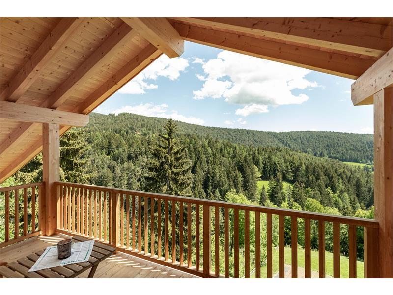 hugh balcony with stunning view on meadows and woods