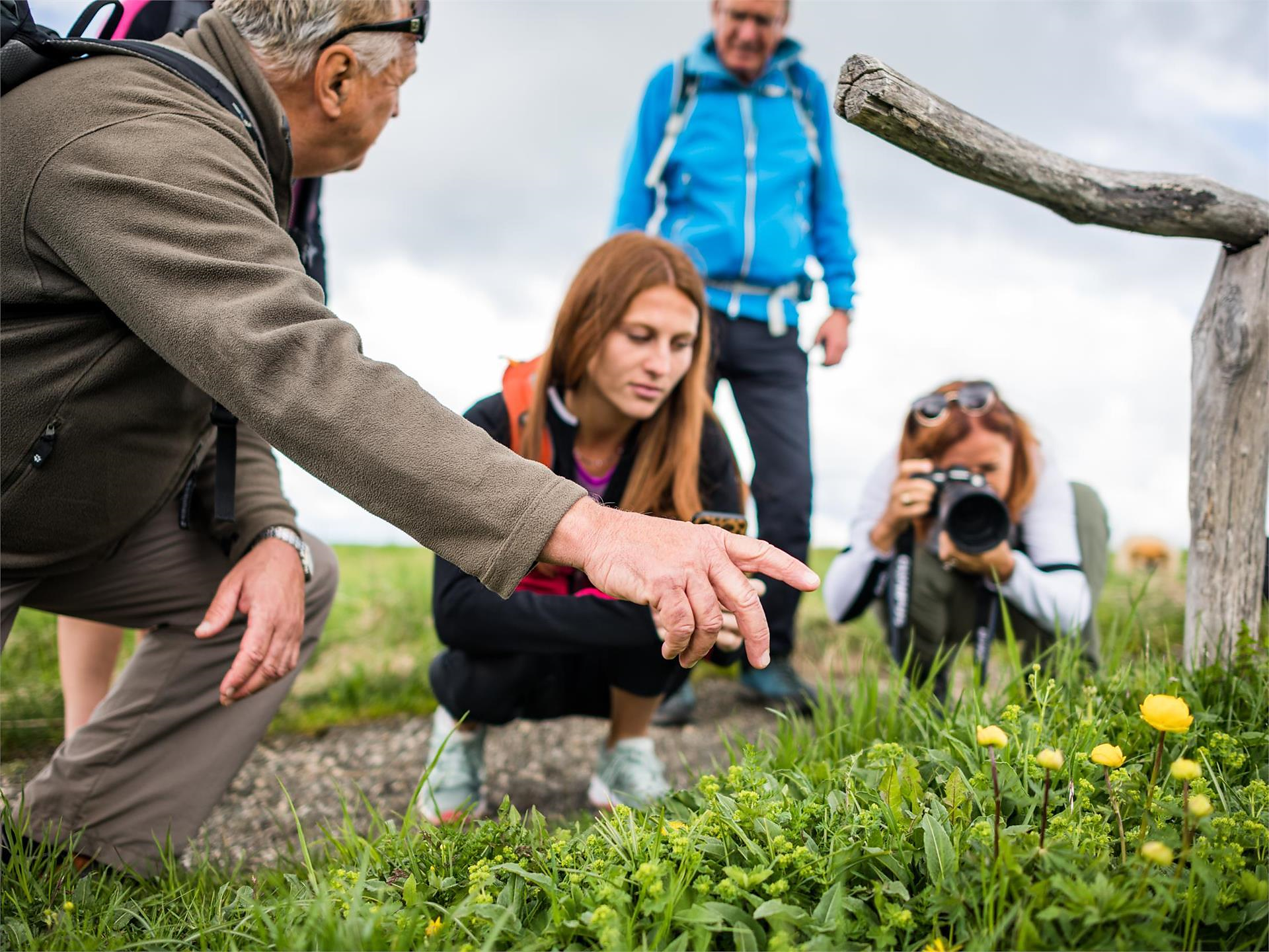 Geführte Blumenwanderung auf der Seiser Alm Kastelruth 1 suedtirol.info