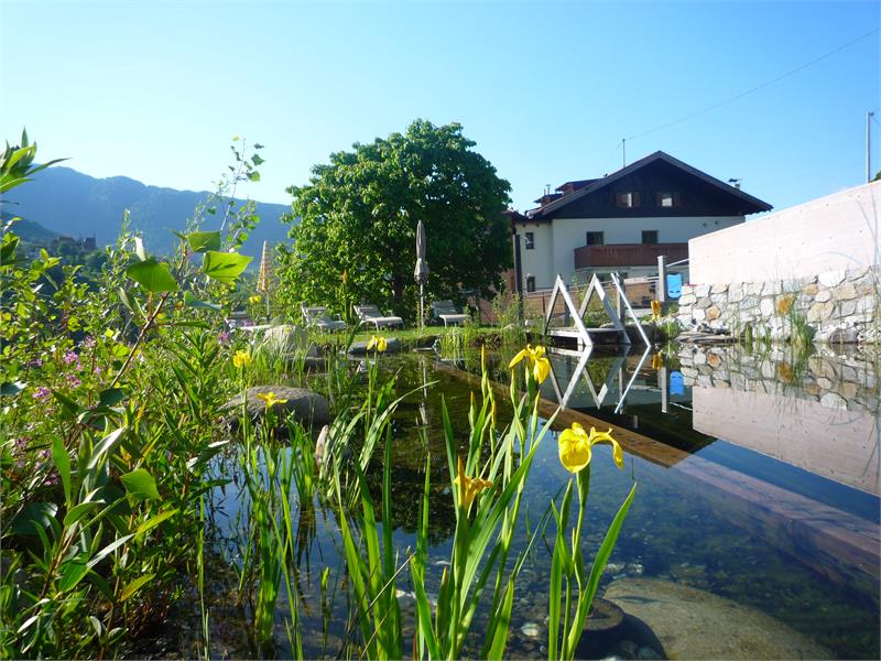 Residence Braiter - Piscina naturale (laghetto)