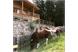 Pferde vor Piz Aich - Naturchalet Piz Aich in Hafling, Südtirol