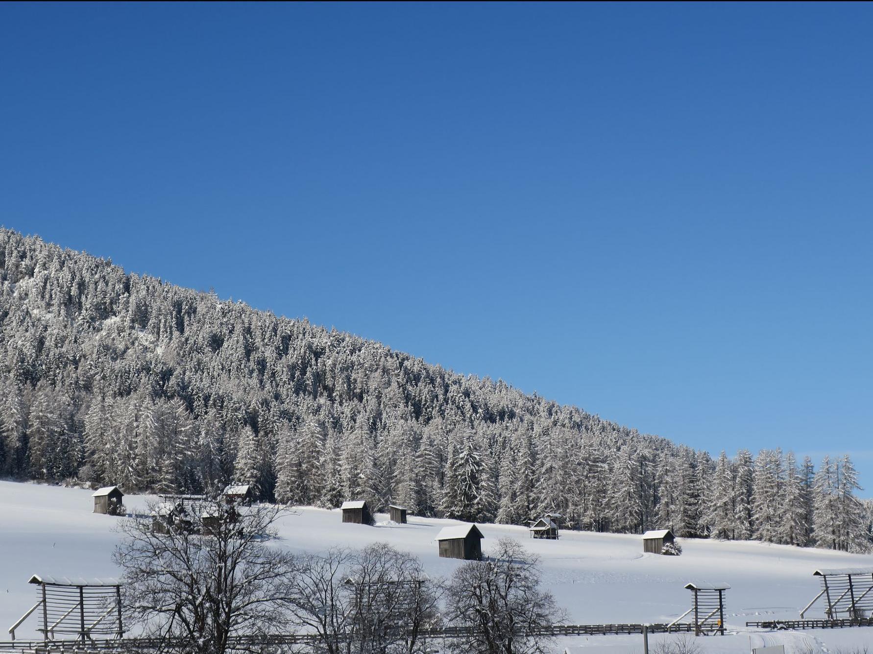 Winterwanderung - Besinnungsweg zur Waldkapelle und Fabel- und Märchenweg