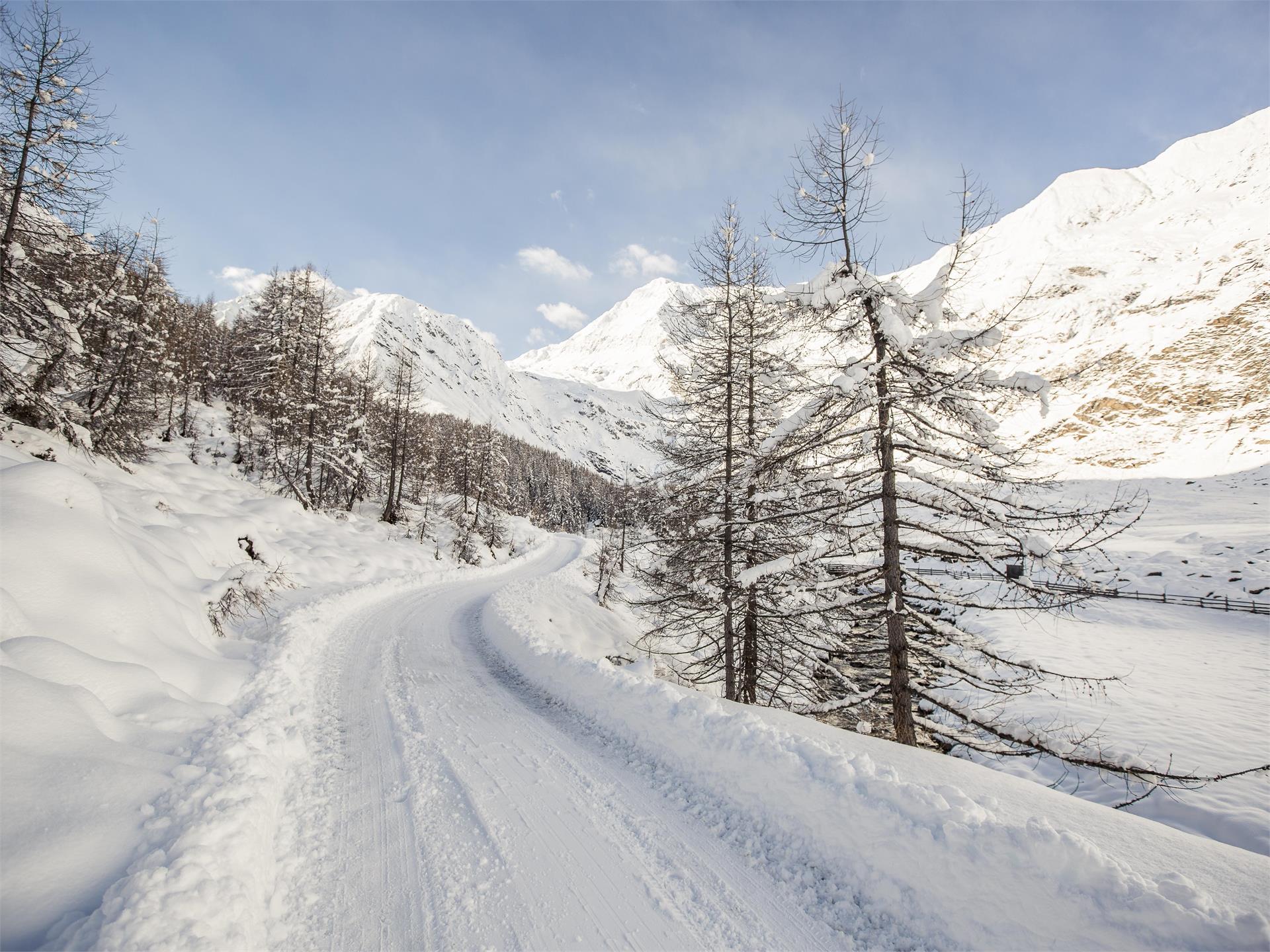Escursione invernale da Plan alla Valle di Lazins