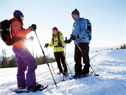 Guided snowshoe hiking tour - Resciesa to Zannes