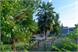 mediterranean garden with palm trees