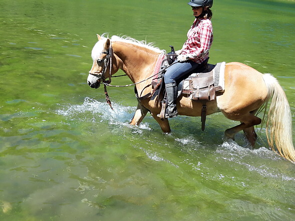 Baden mit Pferden