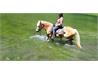 Fare un bagno con cavalli