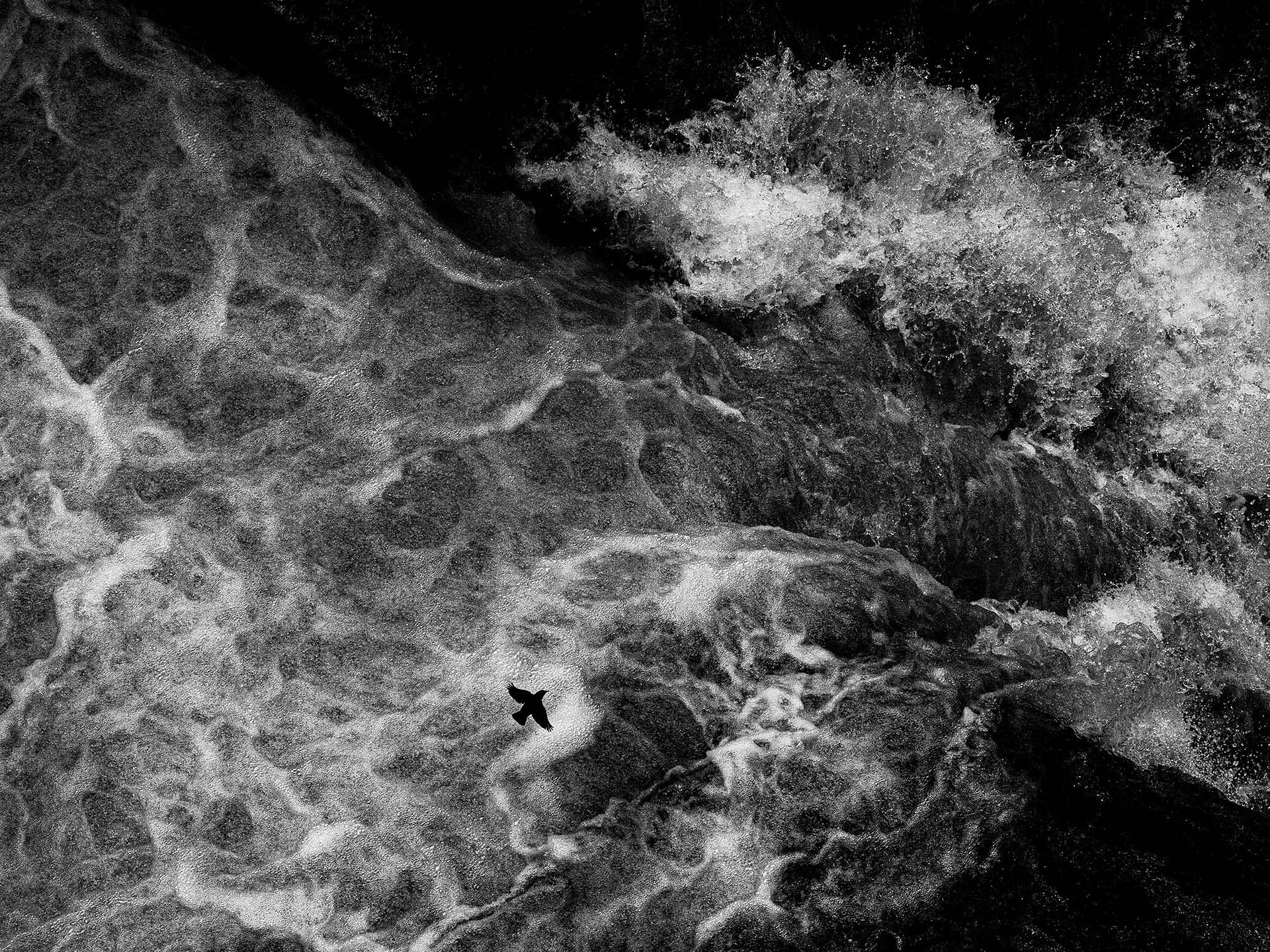 WECHSELAUSSTELLUNG / LUKAS SCHÄFER. Naturfotograf und Filmemacher