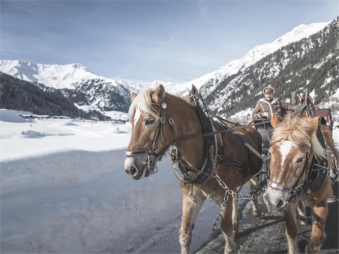 Horse-drawn sleigh ride in the Ridnauntal valley