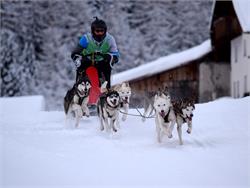 Int. sled dog race in Langtaufers