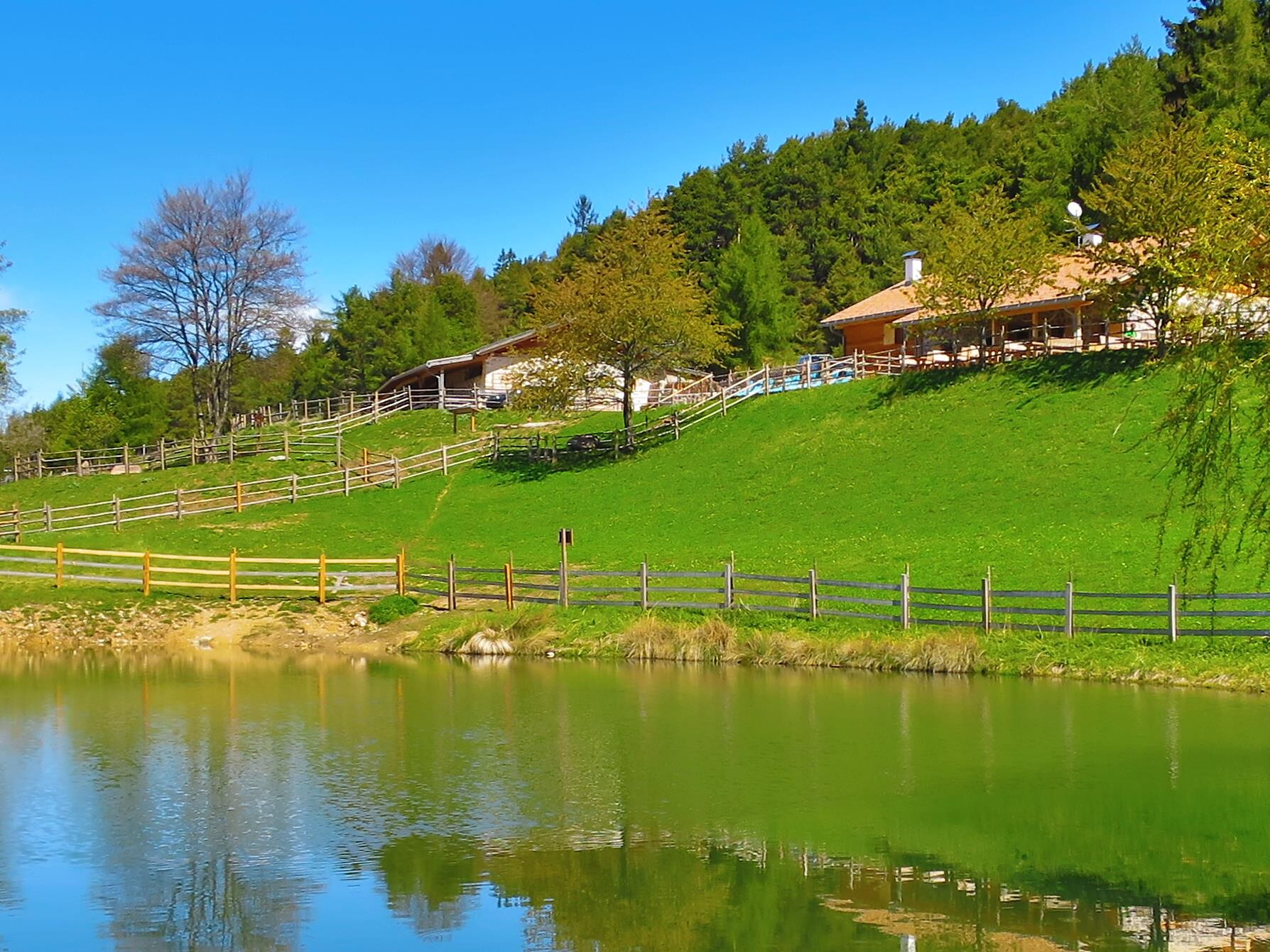 Escursione alla scoperta del Parco Naturale Monte Corno Trodena 3 suedtirol.info