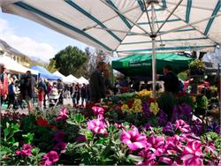 Merano Flower Festival in Naturno