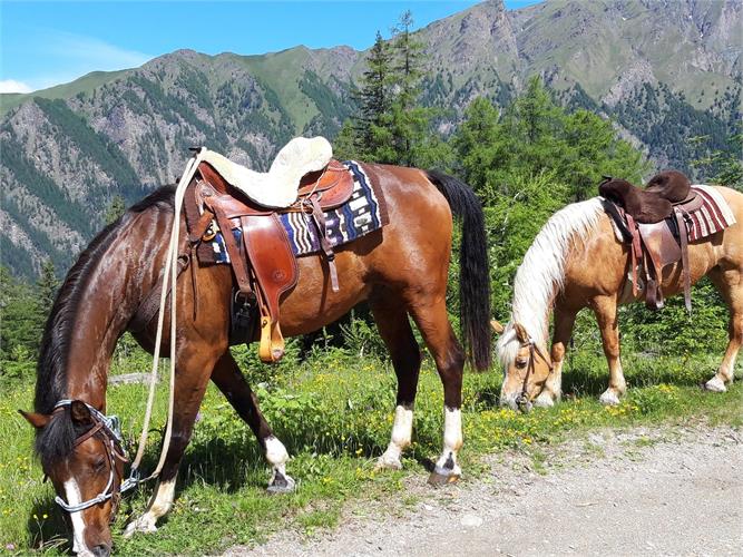 Uscite a Cavallo al Bacherhof in Val di Vizze