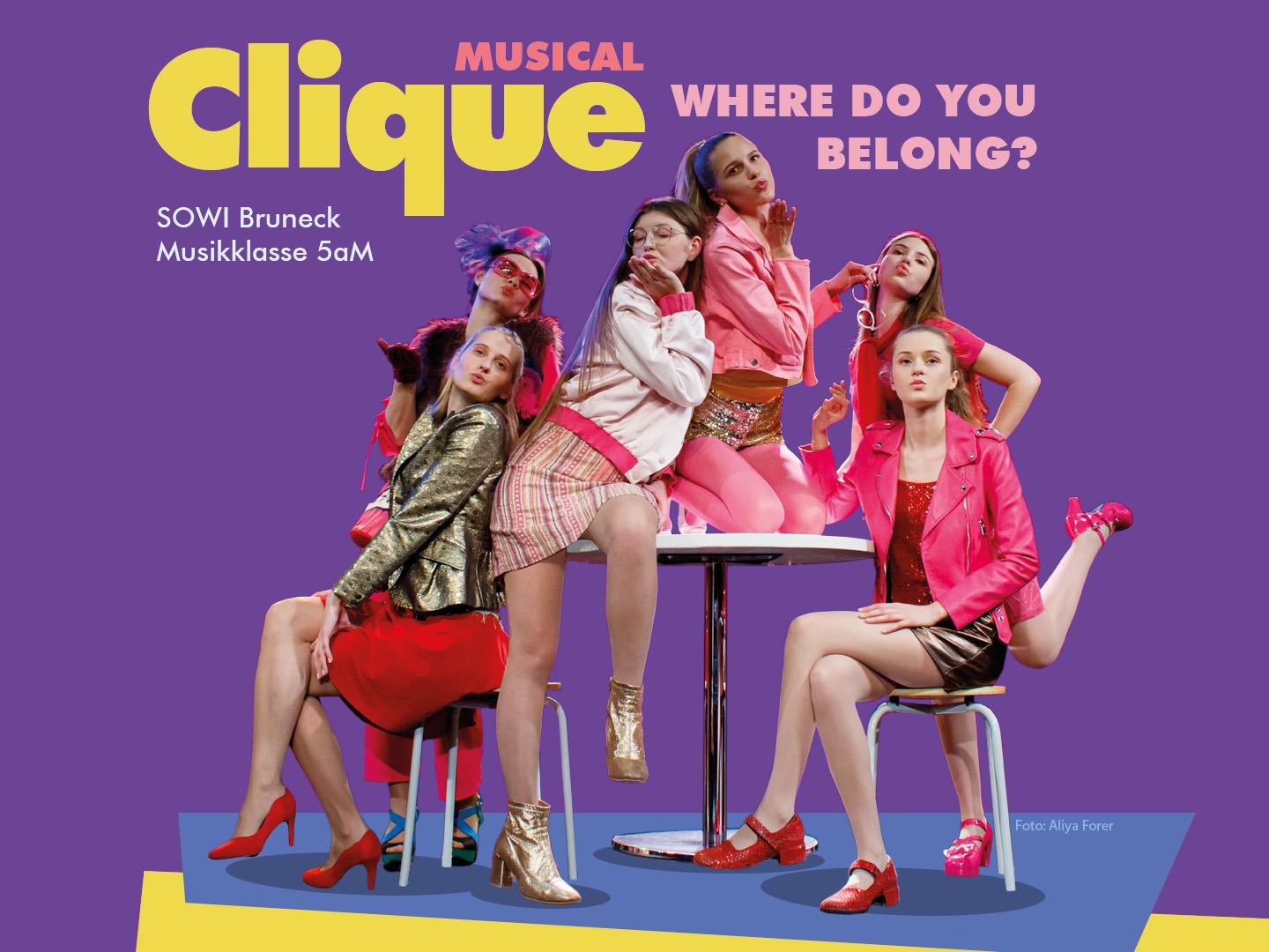 Musical Clique - Where do you belong?