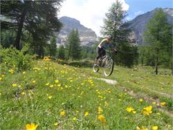 1) E-Bike Tour at springtime on the Val Venosta 