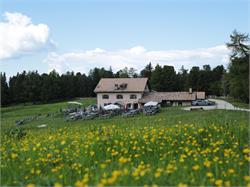 Albergo/Malga Gurndin