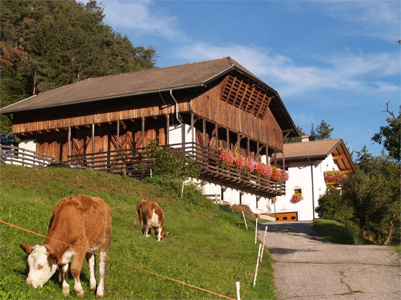 Farm Pilgramhof