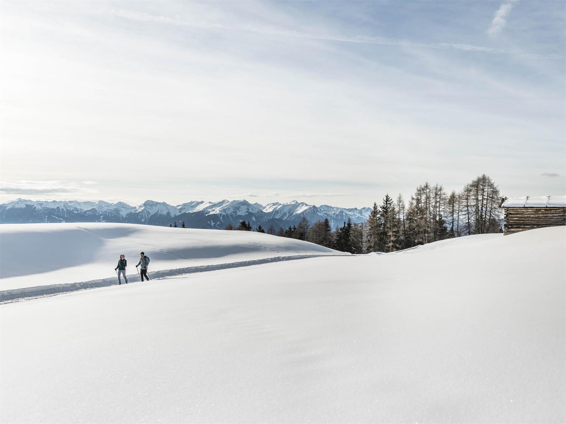 Snowshoe or winter hiking on the Lüsen Alps