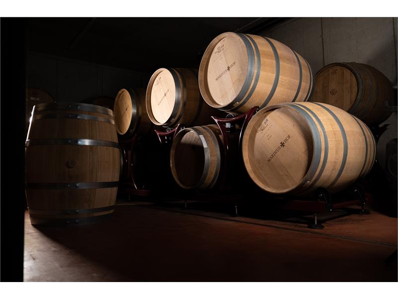 The barrique cellar - Pinot Noir and Zweigelt Primus mature in quietness