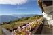 Balcone con vista panoramica - Albergo Alpenrose a Verano