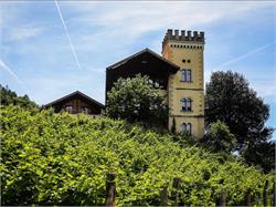 Weinmanufaktur Ansitz Dornach