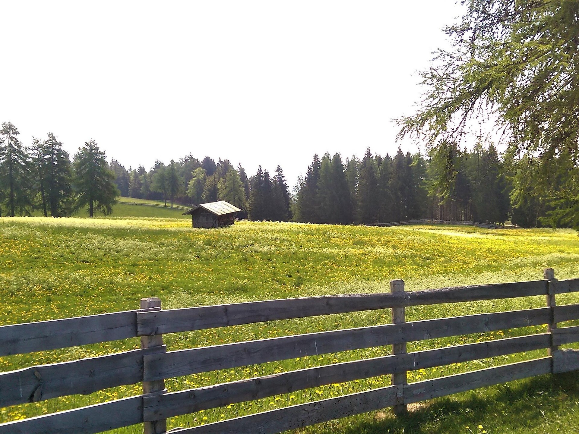 Hike from Mölten to the “Stoanerne Mandln” 