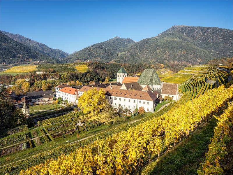 Wine path in Brixen