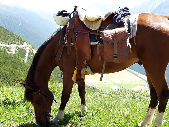 uscita a cavallo