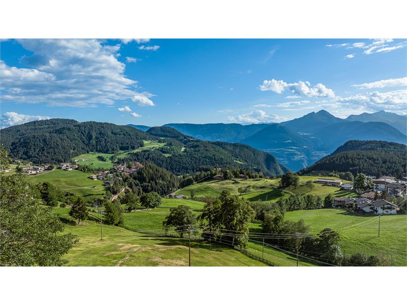 Tschitt in Hafling, Südtirol