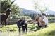 Alpaca Alphotel Tyrol Wellness, Chalets & Family Resort Ratschings