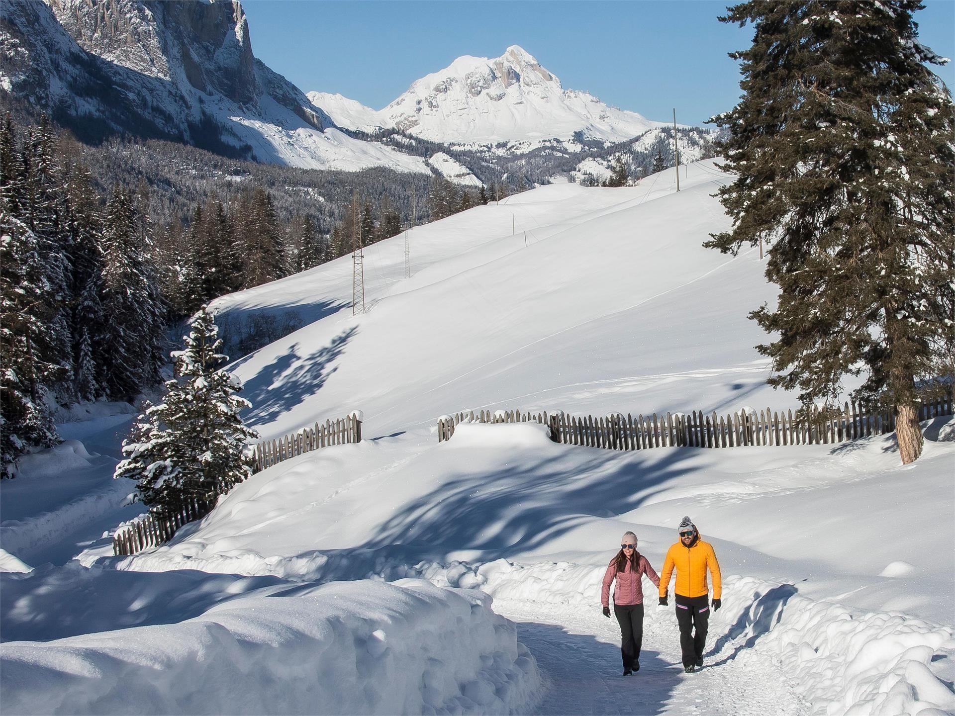 Winter hike along the artists' path from La Villa to San Cassiano