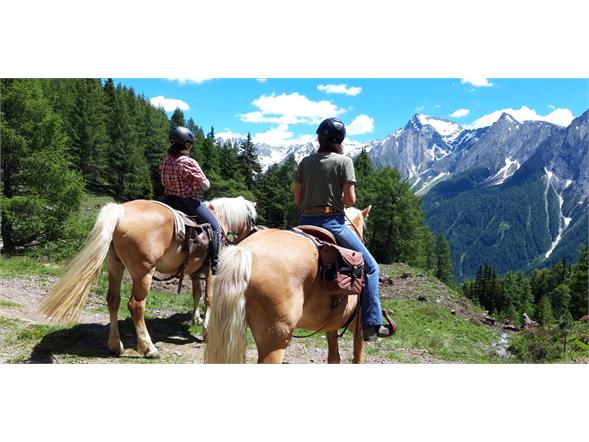 Horse excursion at Val di Vizze