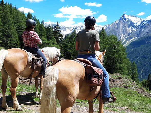 Horse excursion at Val di Vizze