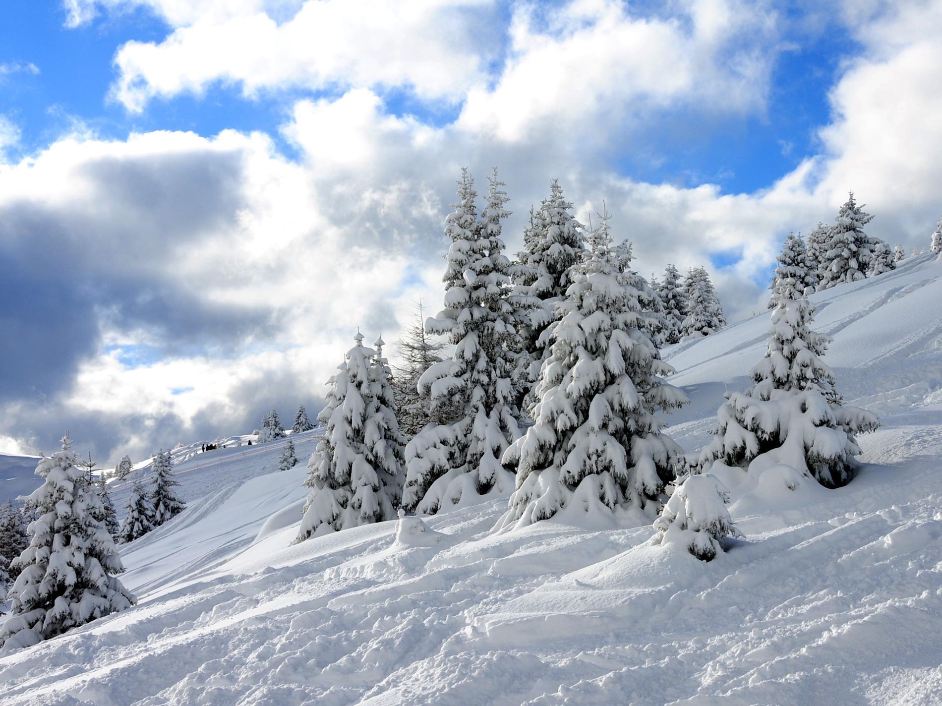Escursione invernale dal monte "Schilling" per la Valle Altafossa