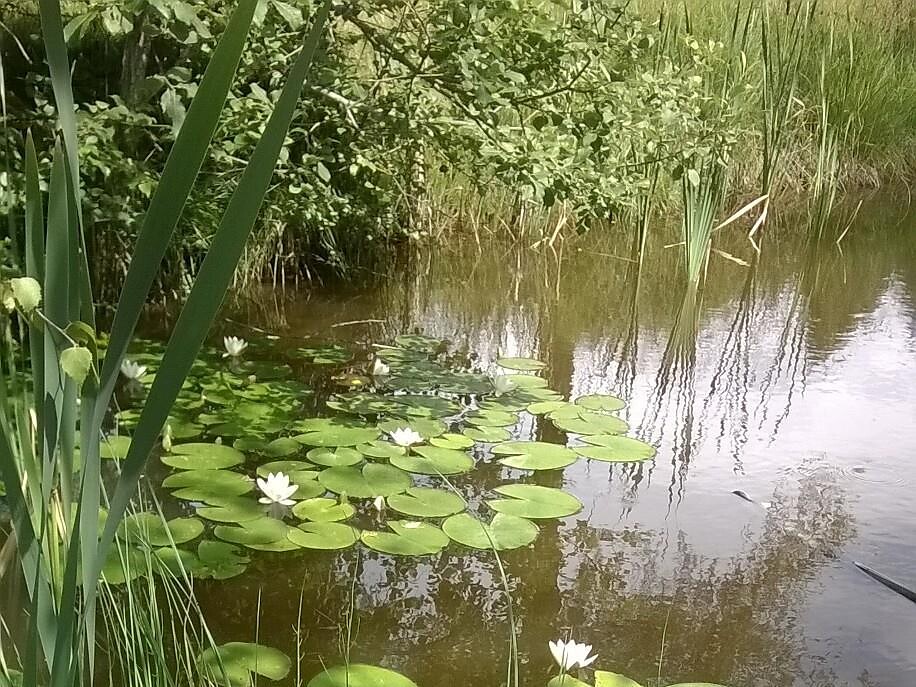 Escursione alla scoperta del Parco Naturale Monte Corno Trodena 2 suedtirol.info