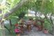 Cozy garden table under the grape arbor