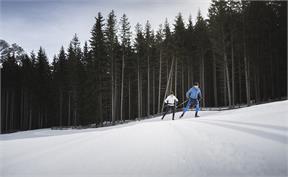Cross country skiing in the Antholz Valley