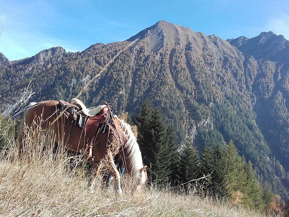 uscita con cavallo