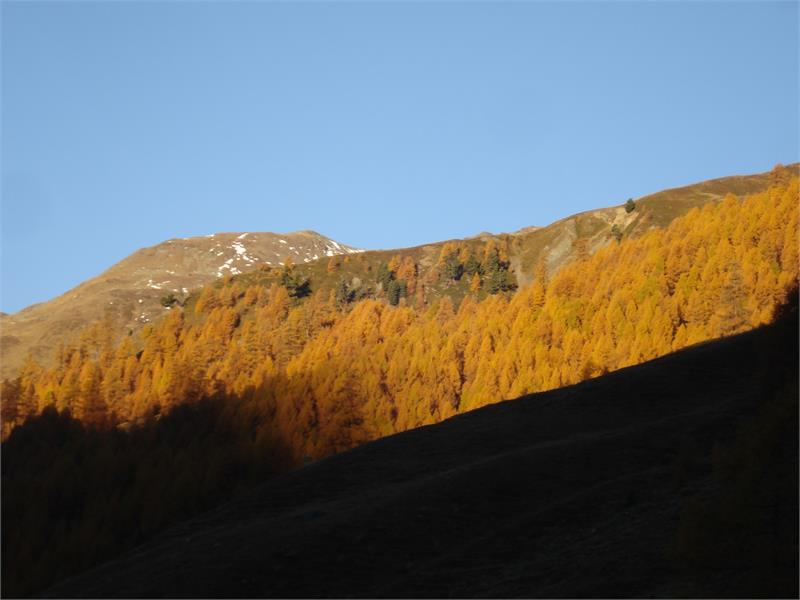 autumn at the mountain