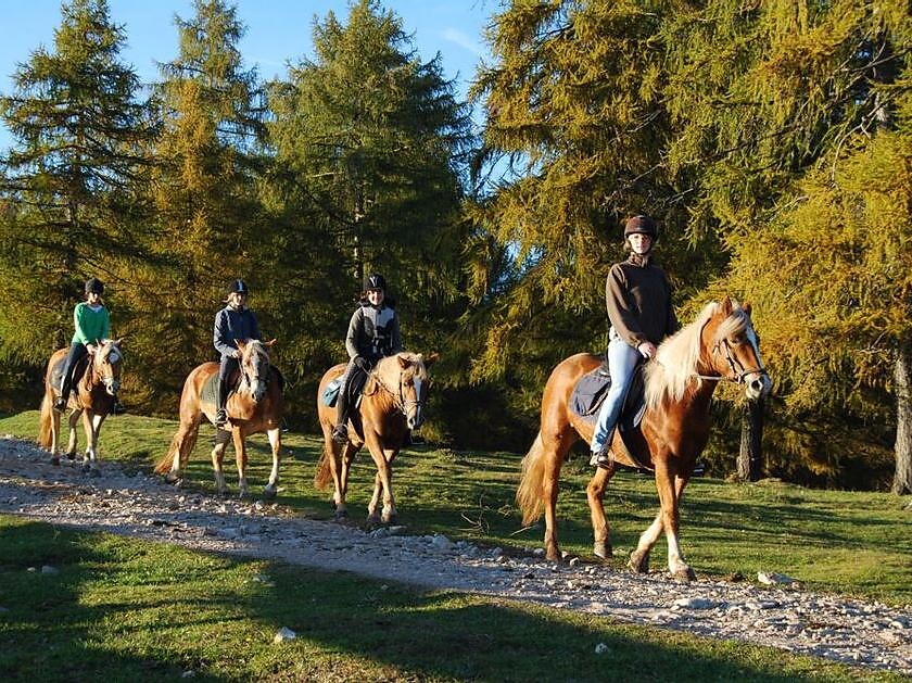 Equitazione al maso Oberfahrerhof