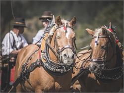 Carriage ride in the Ridnauntal valley