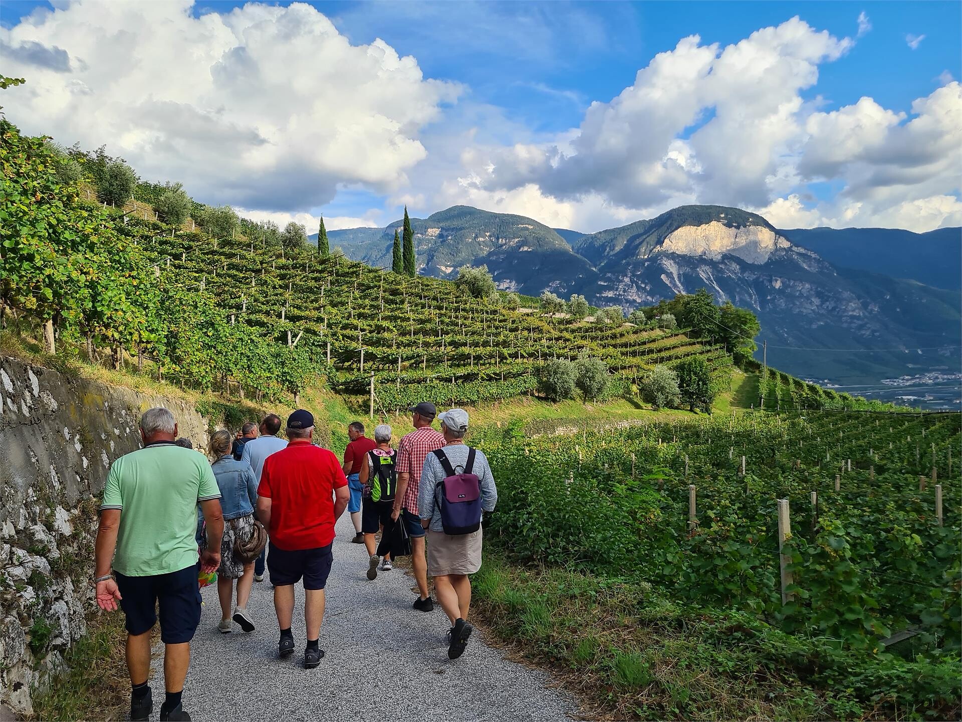 We l(i)ove wine - vineyard in in Kurtatsch/Cortaccia Kurtatsch an der Weinstraße/Cortaccia sulla Strada del Vino 3 suedtirol.info