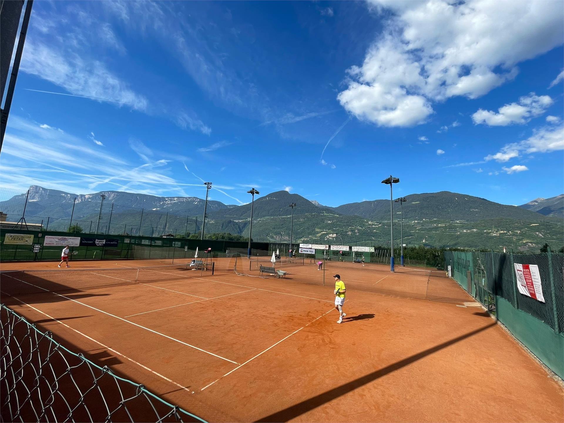 Tennis Campo sportivo Postal